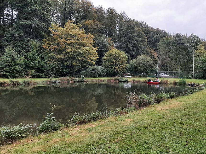 Seminarort Teichanlage am Römerbach