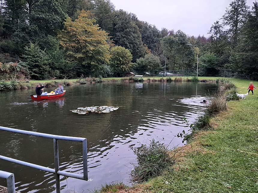 Seminarort Teichanlage am Römerbach